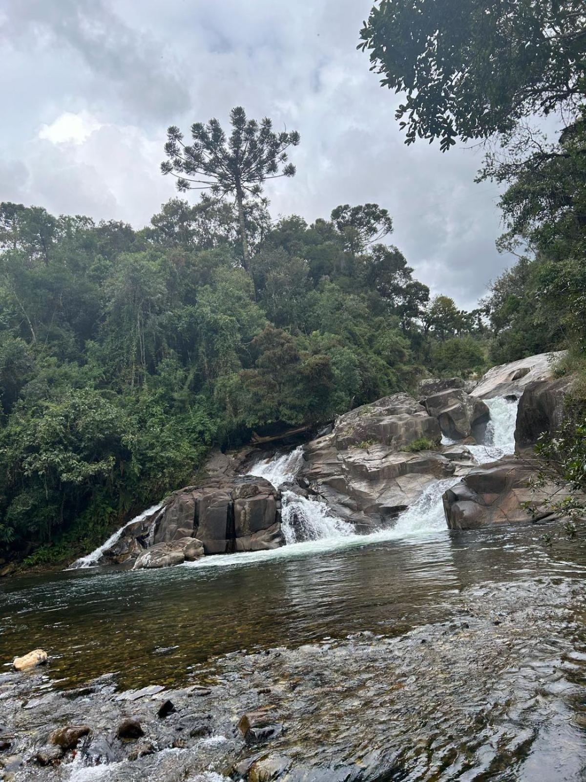 Chalet Chale Pinheirinho